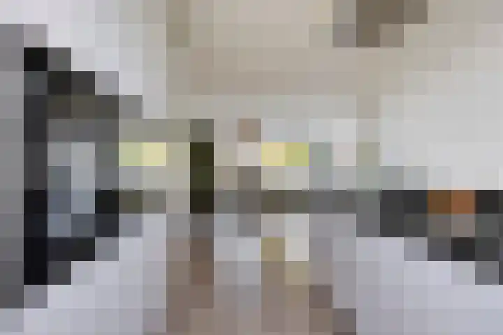Veldwachter 37 Wijchen thumbnail 10