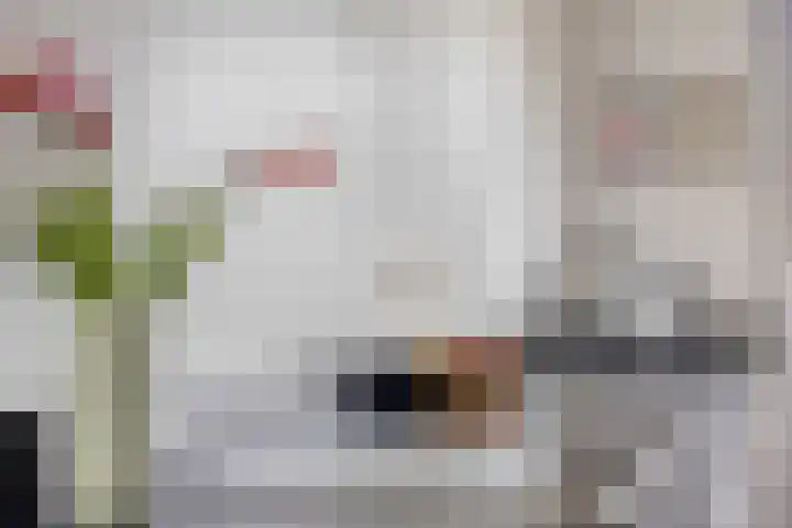Veldwachter 37 Wijchen thumbnail 11