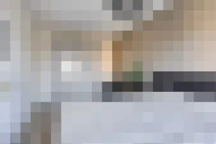 Veldwachter 37 Wijchen thumbnail 14