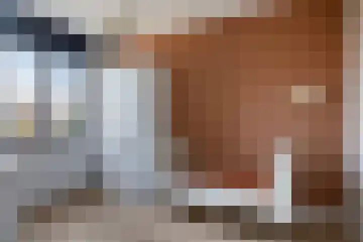 Veldwachter 37 Wijchen thumbnail 15