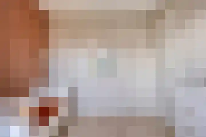 Veldwachter 37 Wijchen thumbnail 16