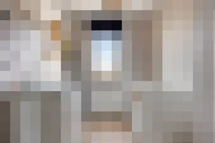 Veldwachter 37 Wijchen thumbnail 17