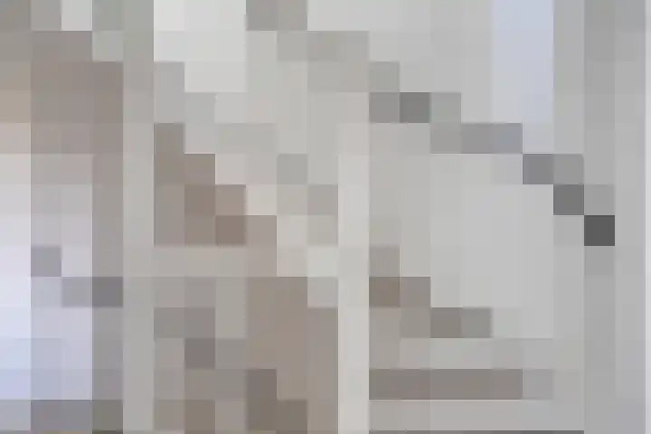 Veldwachter 37 Wijchen thumbnail 21