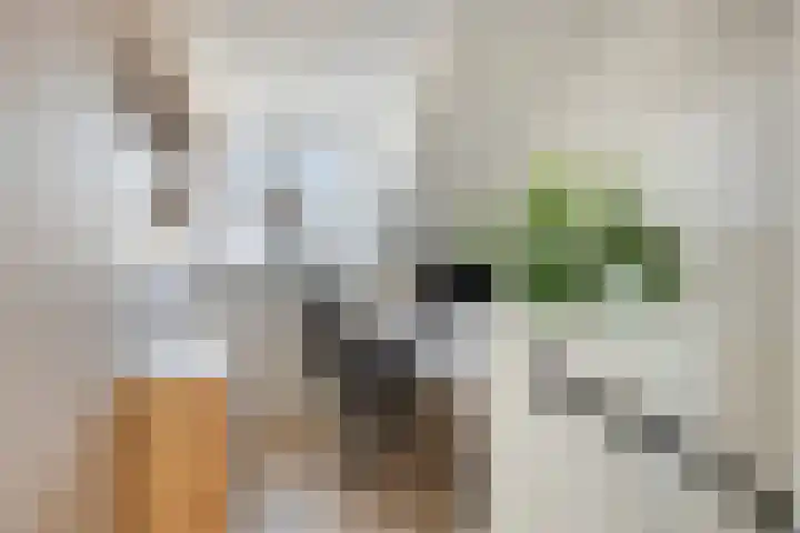 Veldwachter 37 Wijchen thumbnail 22