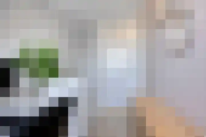 Veldwachter 37 Wijchen thumbnail 23