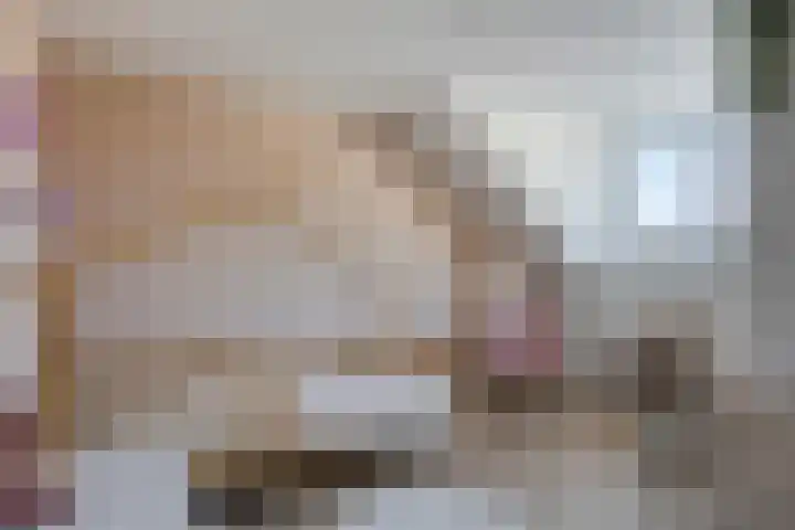 Veldwachter 37 Wijchen thumbnail 24