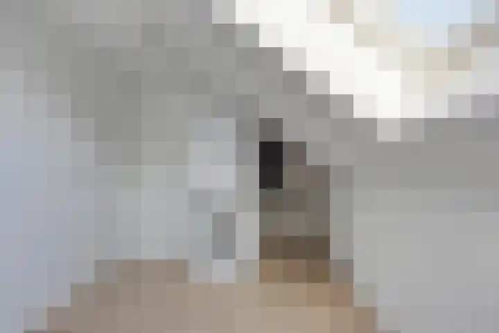 Veldwachter 37 Wijchen thumbnail 27