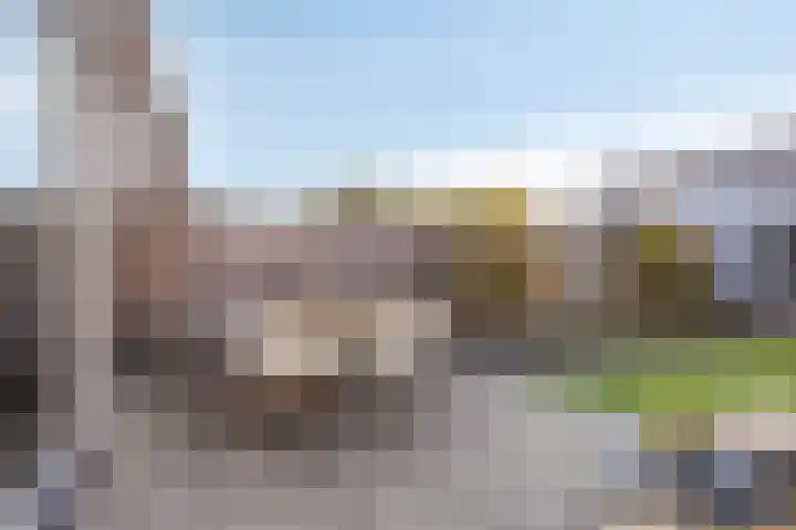 Veldwachter 37 Wijchen thumbnail 28