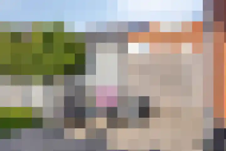 Veldwachter 37 Wijchen thumbnail 31