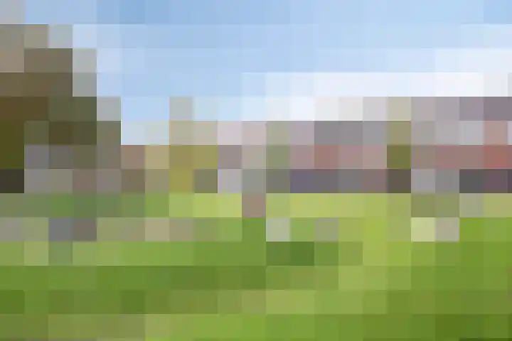 Veldwachter 37 Wijchen thumbnail 32