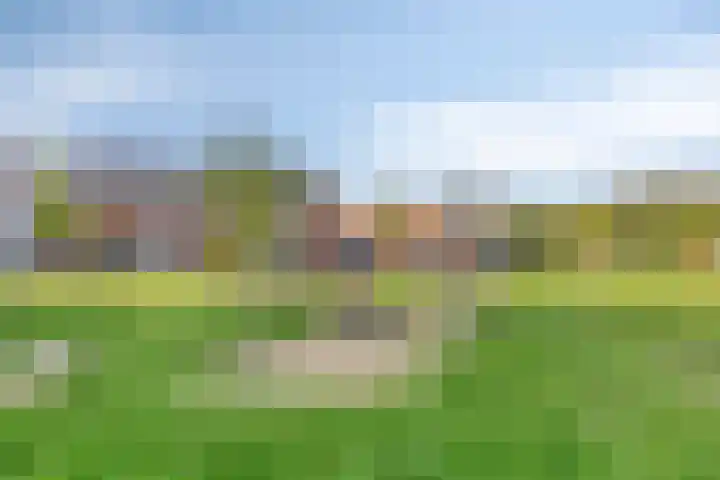 Veldwachter 37 Wijchen thumbnail 33