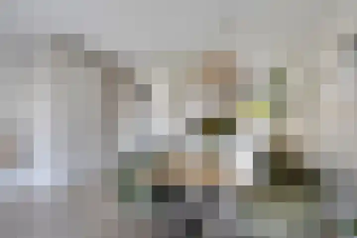 Veldwachter 37 Wijchen thumbnail 8