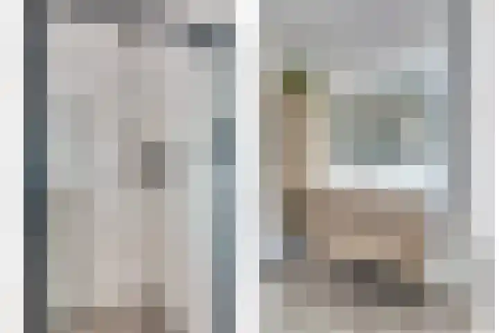 Veldwachter 44 Wijchen thumbnail 27