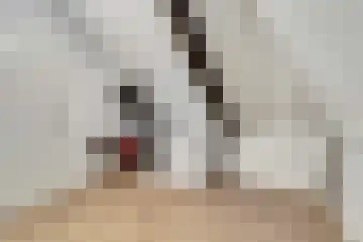 Veldwachter 44 Wijchen thumbnail 32