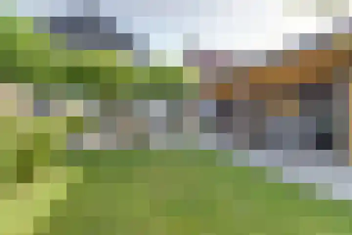 Veldwachter 44 Wijchen thumbnail 36