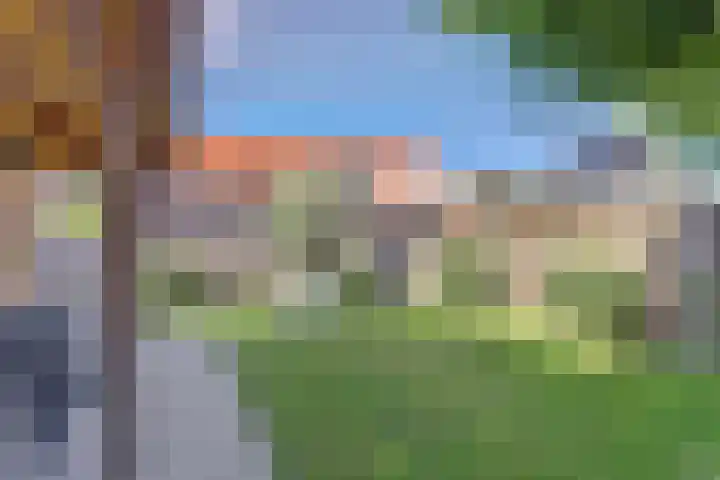Veldwachter 44 Wijchen thumbnail 40