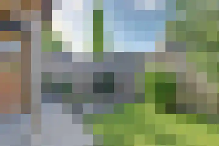 Veldwachter 44 Wijchen thumbnail 41