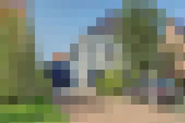 Veldwachter 44 Wijchen thumbnail 43