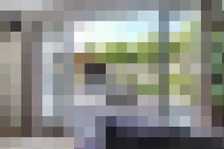 Veldwachter 44 Wijchen thumbnail 9