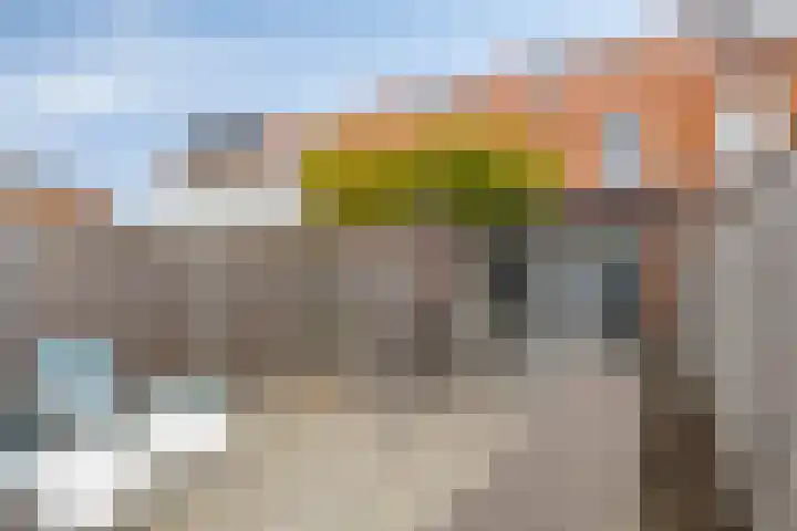 Veldwachter 8 Wijchen thumbnail 21