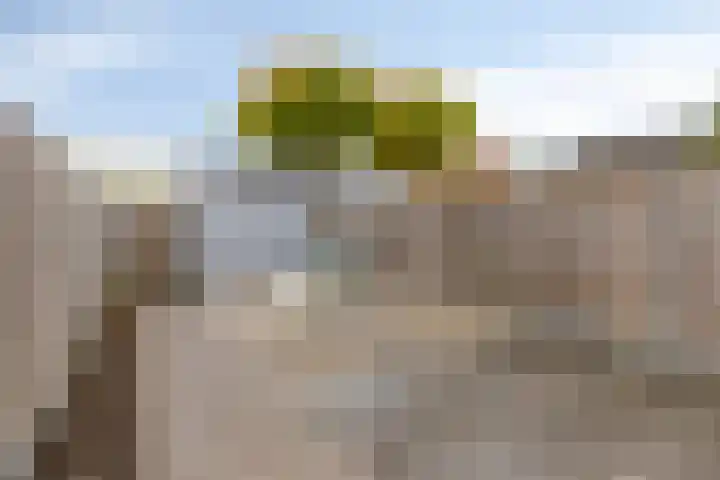 Veldwachter 8 Wijchen thumbnail 24