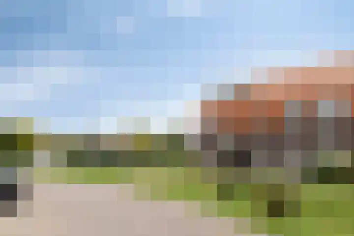 Veldwachter 8 Wijchen thumbnail 26