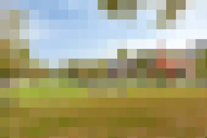 Veldwachter 8 Wijchen thumbnail 28