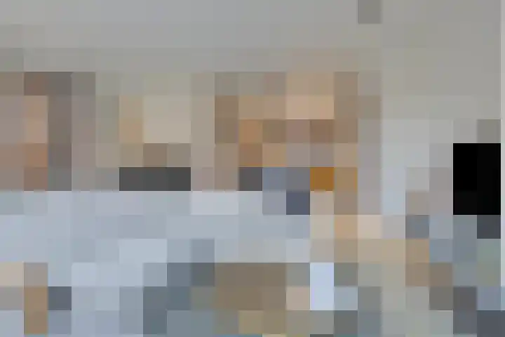 Veldwachter 87 Wijchen thumbnail 14
