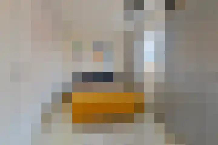 Veldwachter 87 Wijchen thumbnail 20
