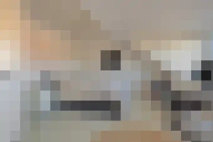 Veldwachter 87 Wijchen thumbnail 25
