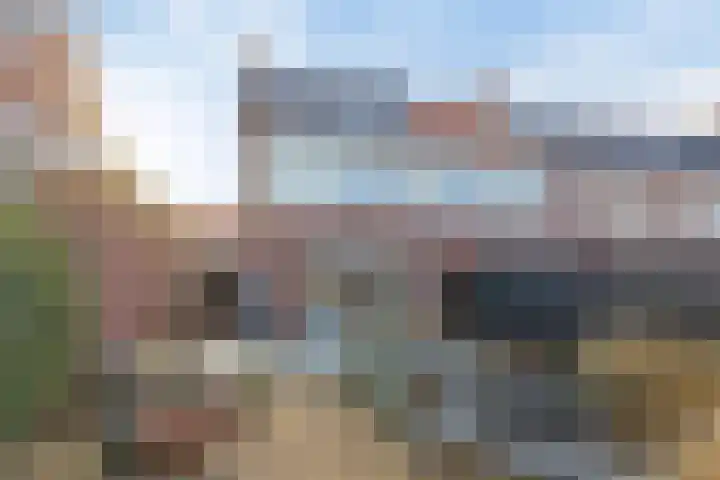 Veldwachter 87 Wijchen thumbnail 28