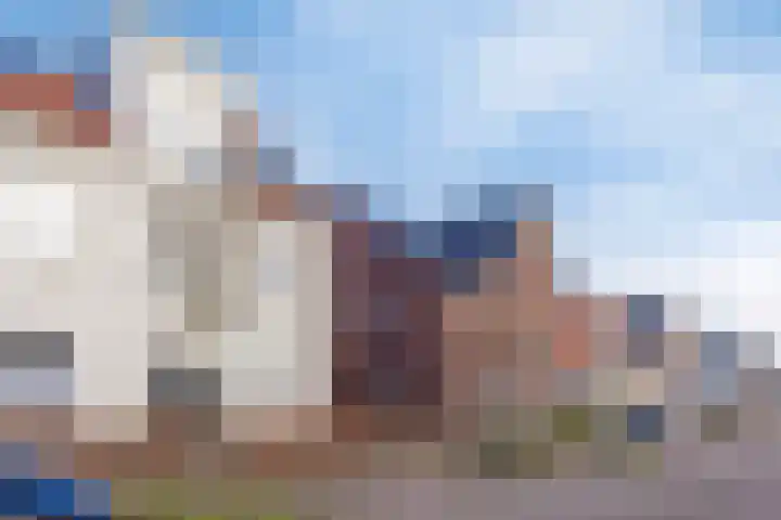 Veldwachter 87 Wijchen thumbnail 31