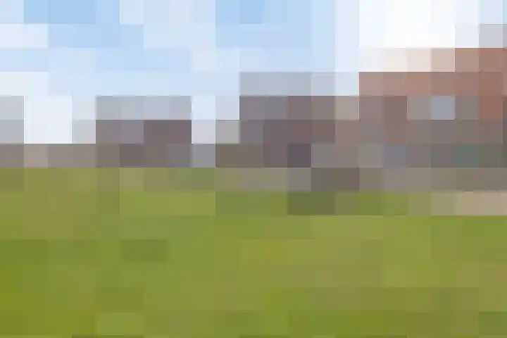 Veldwachter 87 Wijchen thumbnail 32