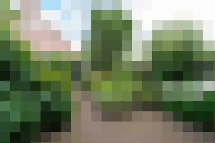 Veldwachter Willemslaan 18 Odijk thumbnail 17