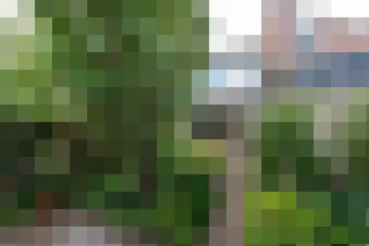 Veldwachter Willemslaan 18 Odijk thumbnail 20