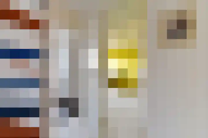 Veldwachter Willemslaan 18 Odijk thumbnail 24
