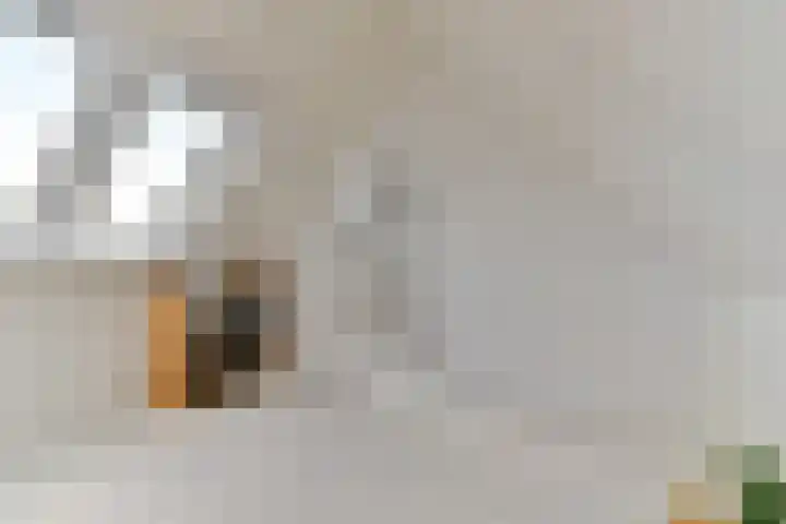 Veldwachter Willemslaan 18 Odijk thumbnail 38