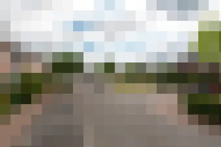Veldwachter Willemslaan 18 Odijk thumbnail 40