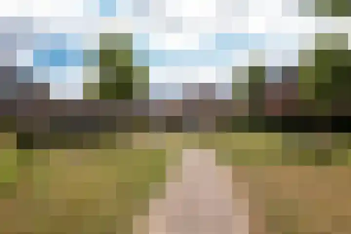 Veldwachter Willemslaan 18 Odijk thumbnail 41