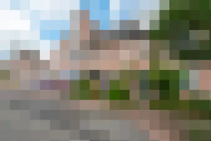 Veldwachter Willemslaan 18 Odijk thumbnail 44
