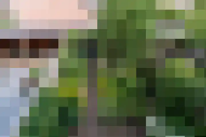 Veldwachter Willemslaan 18 Odijk thumbnail 5