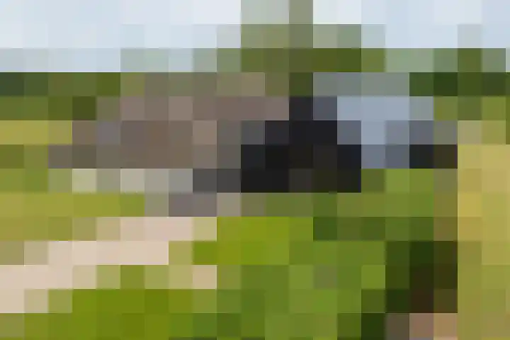 Veldweg 1 Dwingeloo thumbnail 10