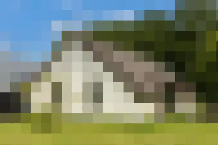 Veldweg 1 Dwingeloo thumbnail 12