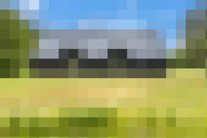 Veldweg 1 Dwingeloo thumbnail 13