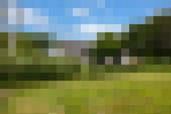 Veldweg 1 Dwingeloo thumbnail 14