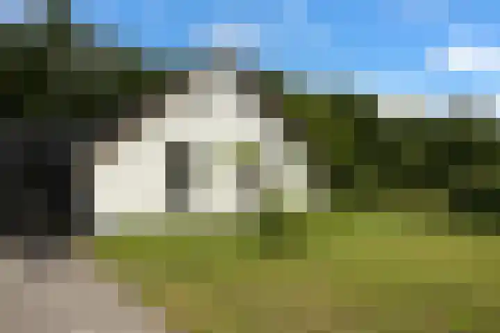 Veldweg 1 Dwingeloo thumbnail 15