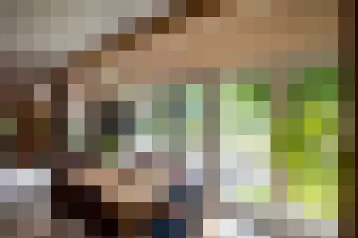 Veldweg 1 Dwingeloo thumbnail 19