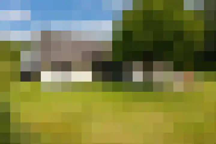 Veldweg 1 Dwingeloo thumbnail 22