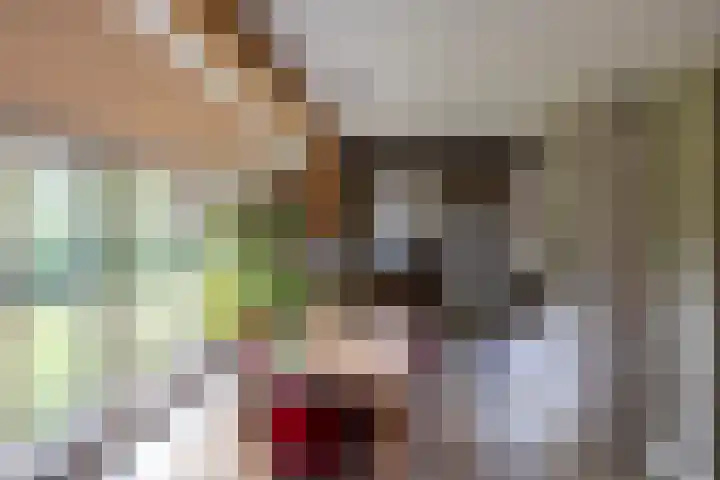 Veldweg 1 Dwingeloo thumbnail 23