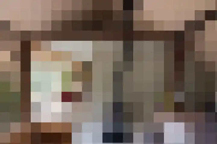 Veldweg 1 Dwingeloo thumbnail 26